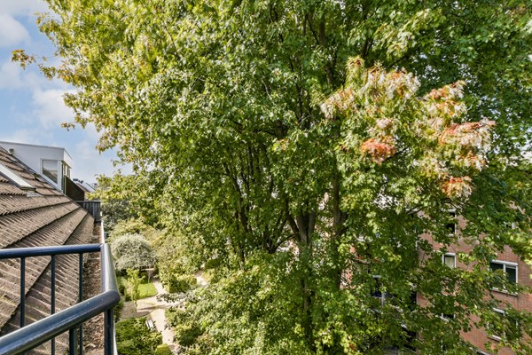 Medium property photo - Wagenaarstraat 429, 1093 CN Amsterdam